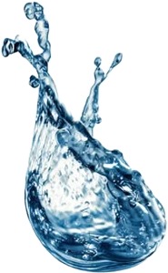 water splashing on a white background.jpg